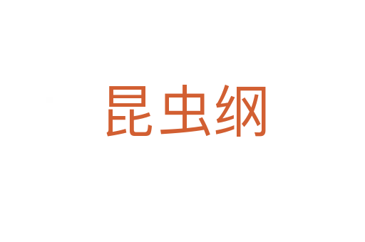 昆虫纲