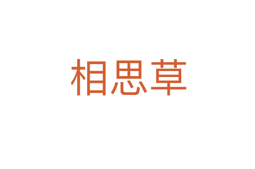 相思草