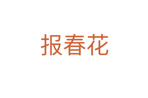 报春花