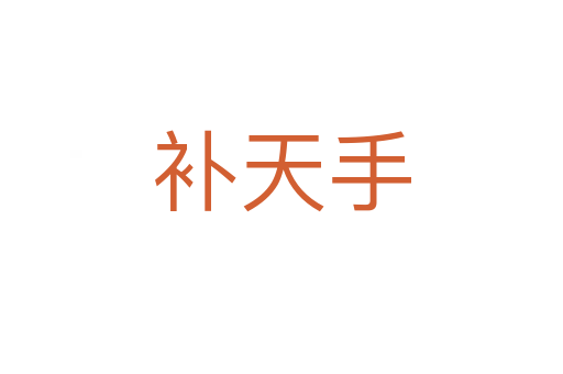 补天手