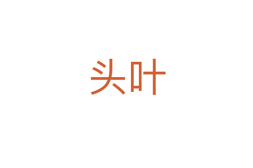 头叶