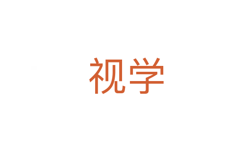 视学