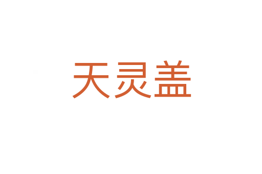 天灵盖