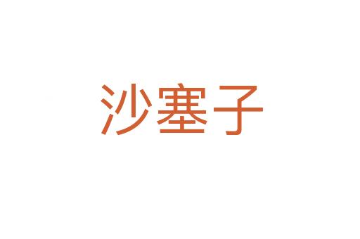 沙塞子