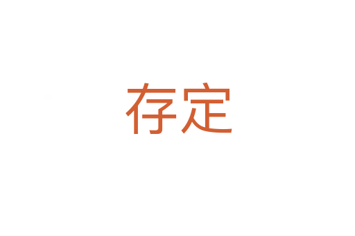存定