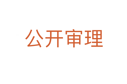 公开审理