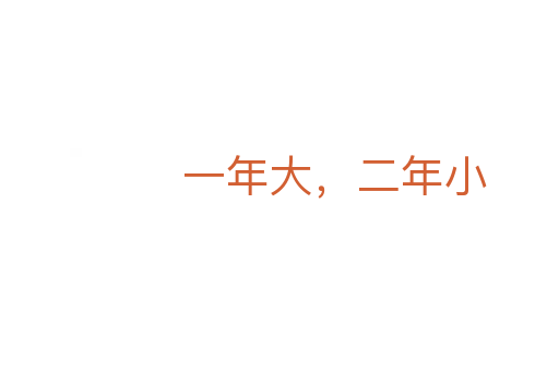 一年大,二年小