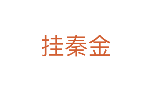 挂秦金