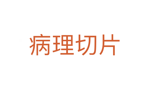病理切片