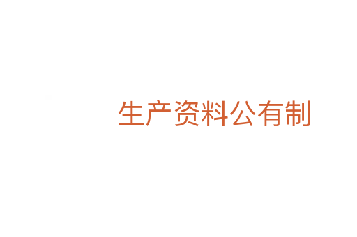生产资料公有制