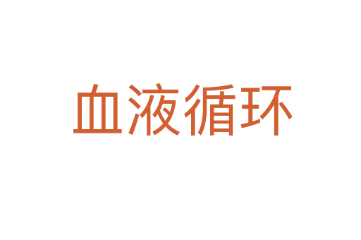 血液循环