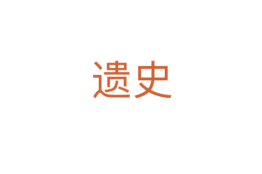 遗史