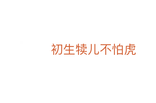 初生犊儿不怕虎
