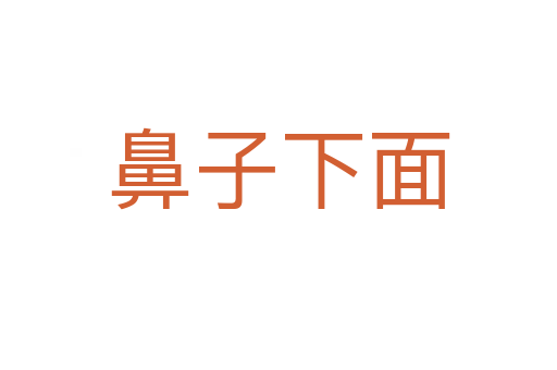 鼻子下面