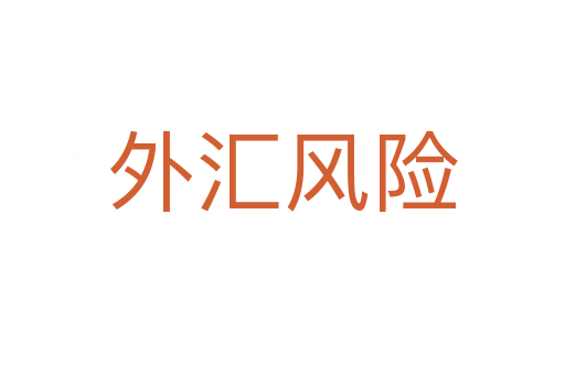 外汇风险