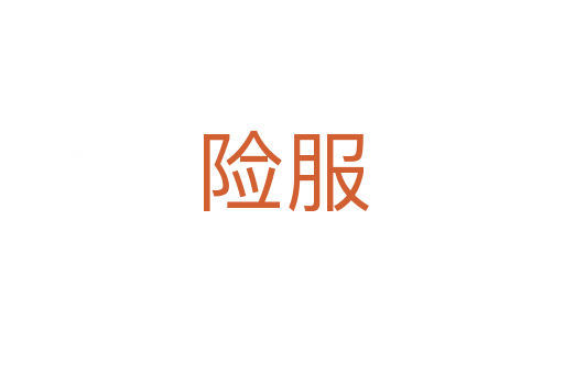 险服