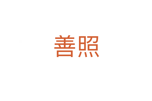 善照