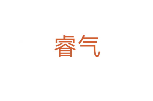 睿气