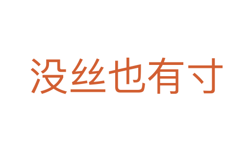 没丝也有寸