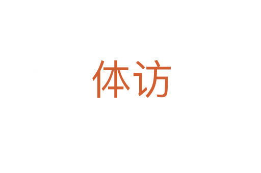 体访