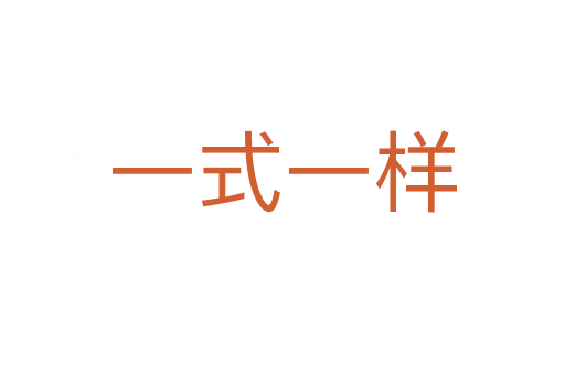 一式一样