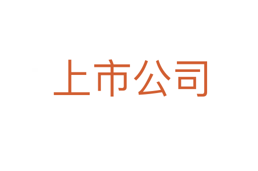 上市公司