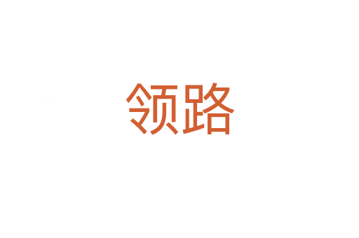领路
