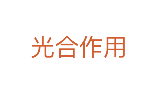 光合作用