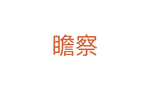 瞻察